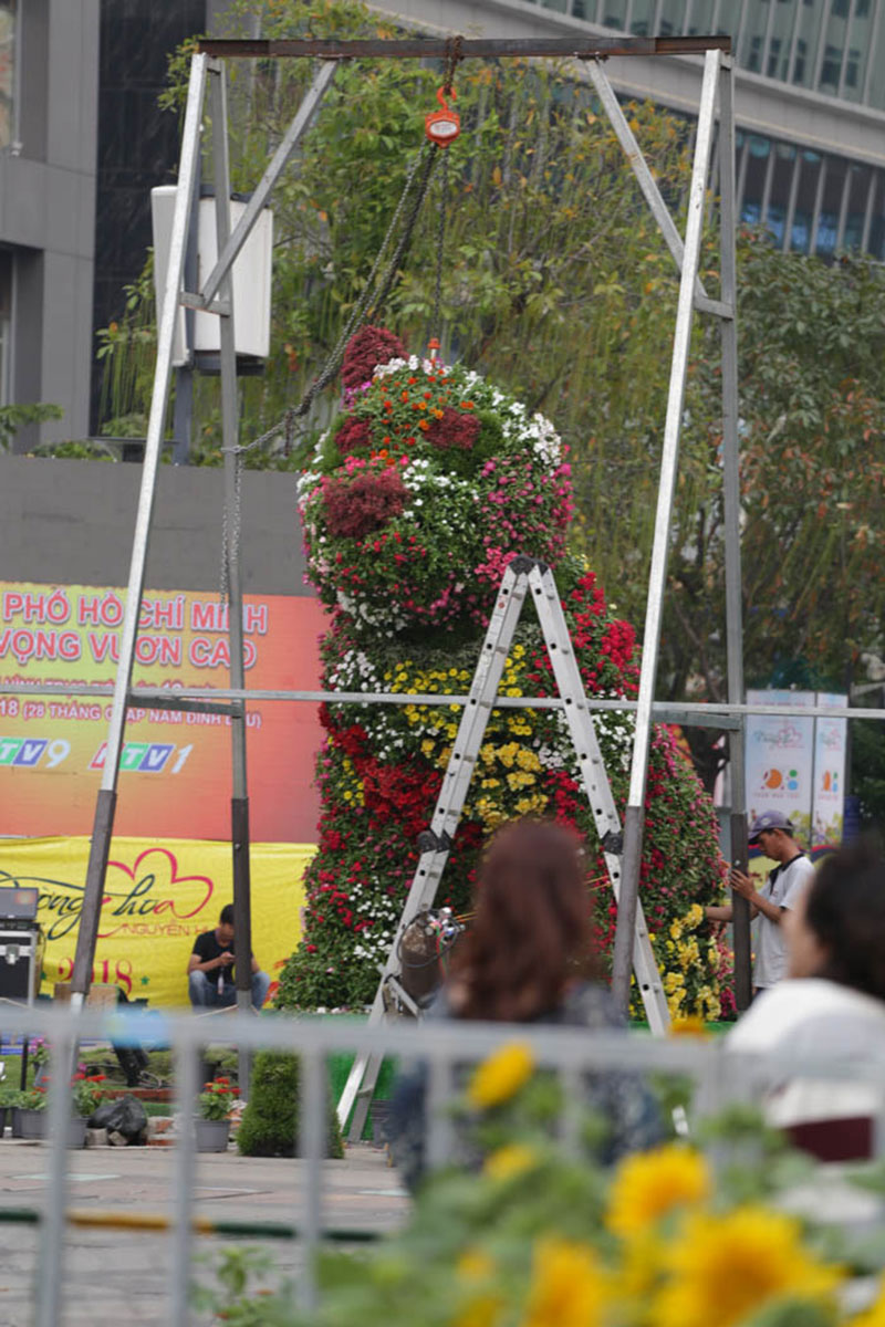 Ngắm đường hoa Tết Mậu Tuất trước giờ G